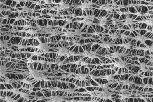 micro porous film.jpg