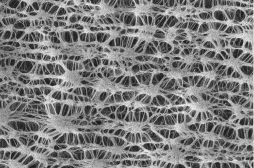 PP micro porous film to replace of PTFE membrane and PU micro porous membrane