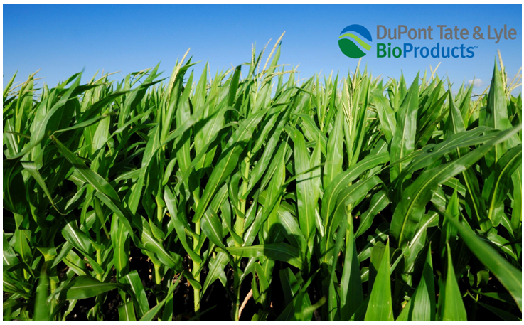 Bio-based membrane is the hope for green and sustainable development