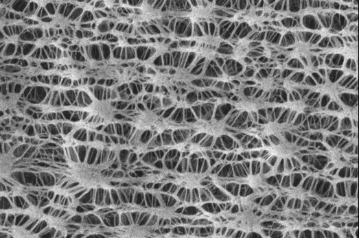 Green PFAS-free micro porous membranes for fabric lamination